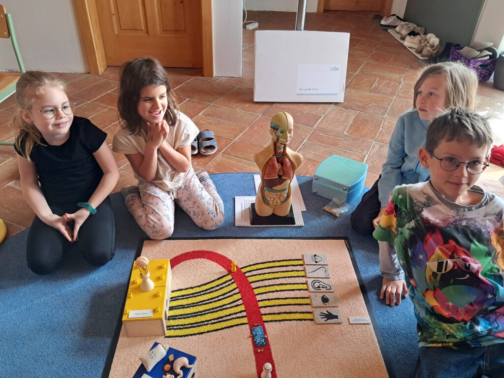 örper, Blutkreislauf, Kinder, Kosmik, Erzählung, Material, Organe, lernen, erleben,