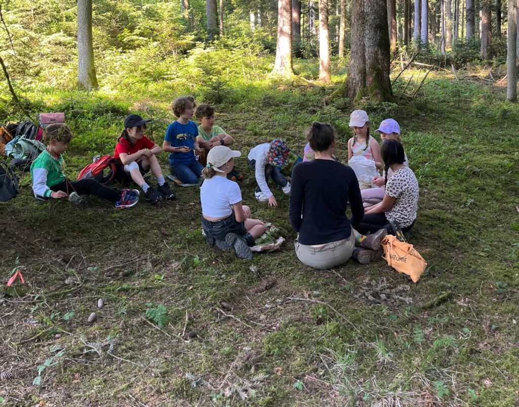 Wald, Sinne, erleben, wandern, Bäume, Spuren, Blätter, fühlen,