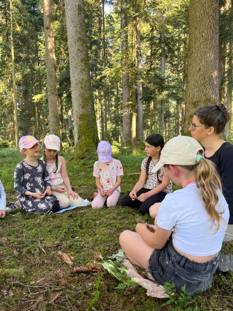 Wald, Sinne, erleben, wandern, Bäume, Spuren, Blätter, fühlen,