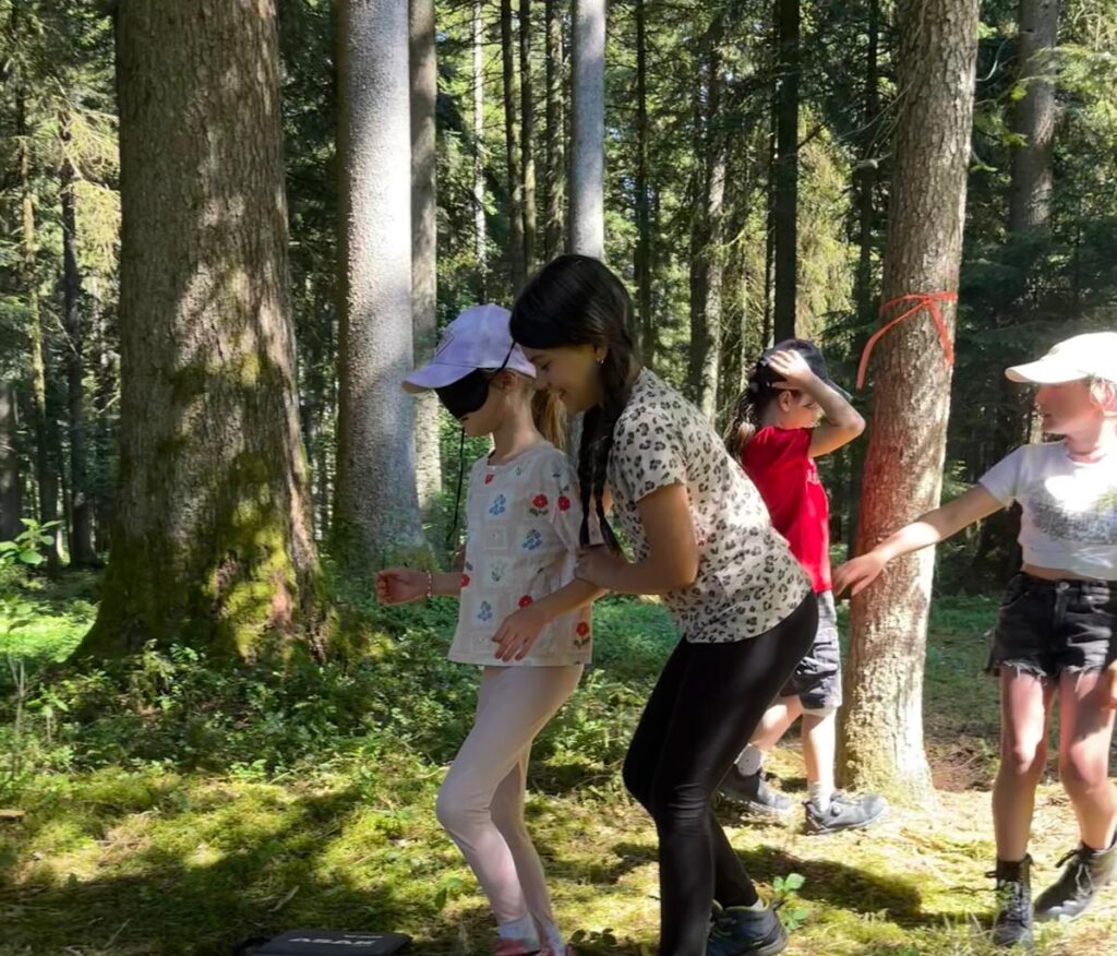 Wald, Sinne, erleben, wandern, Bäume, Spuren, Blätter, fühlen,