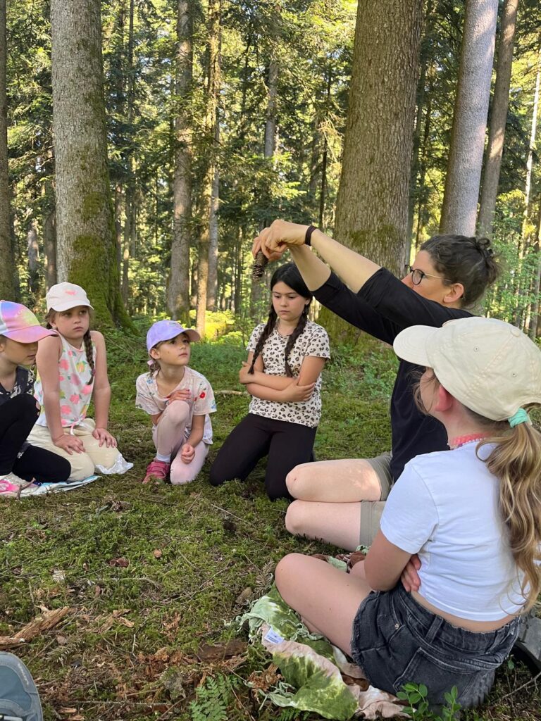 Wald, Sinne, erleben, wandern, Bäume, Spuren, Blätter, fühlen,
